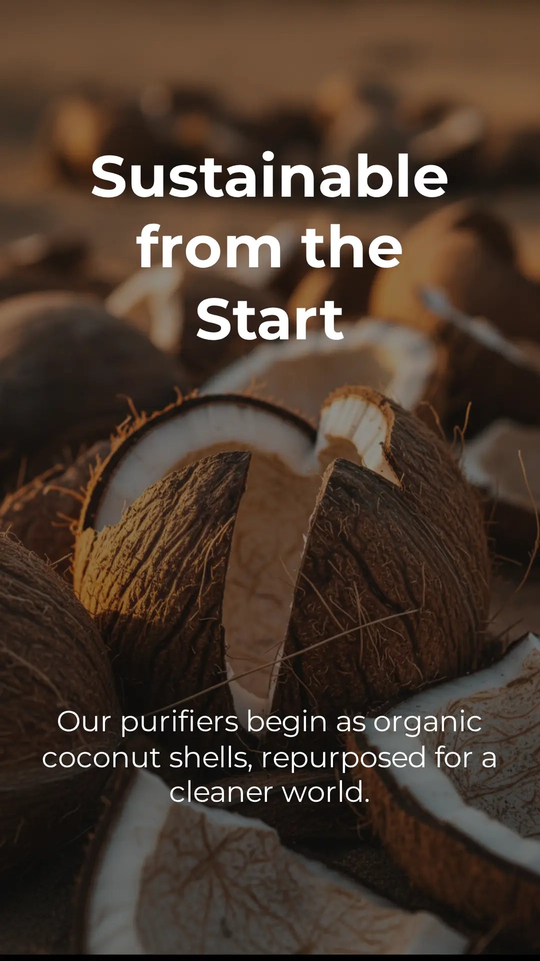 Natural charcoal air purifier for cars made from coconut shells