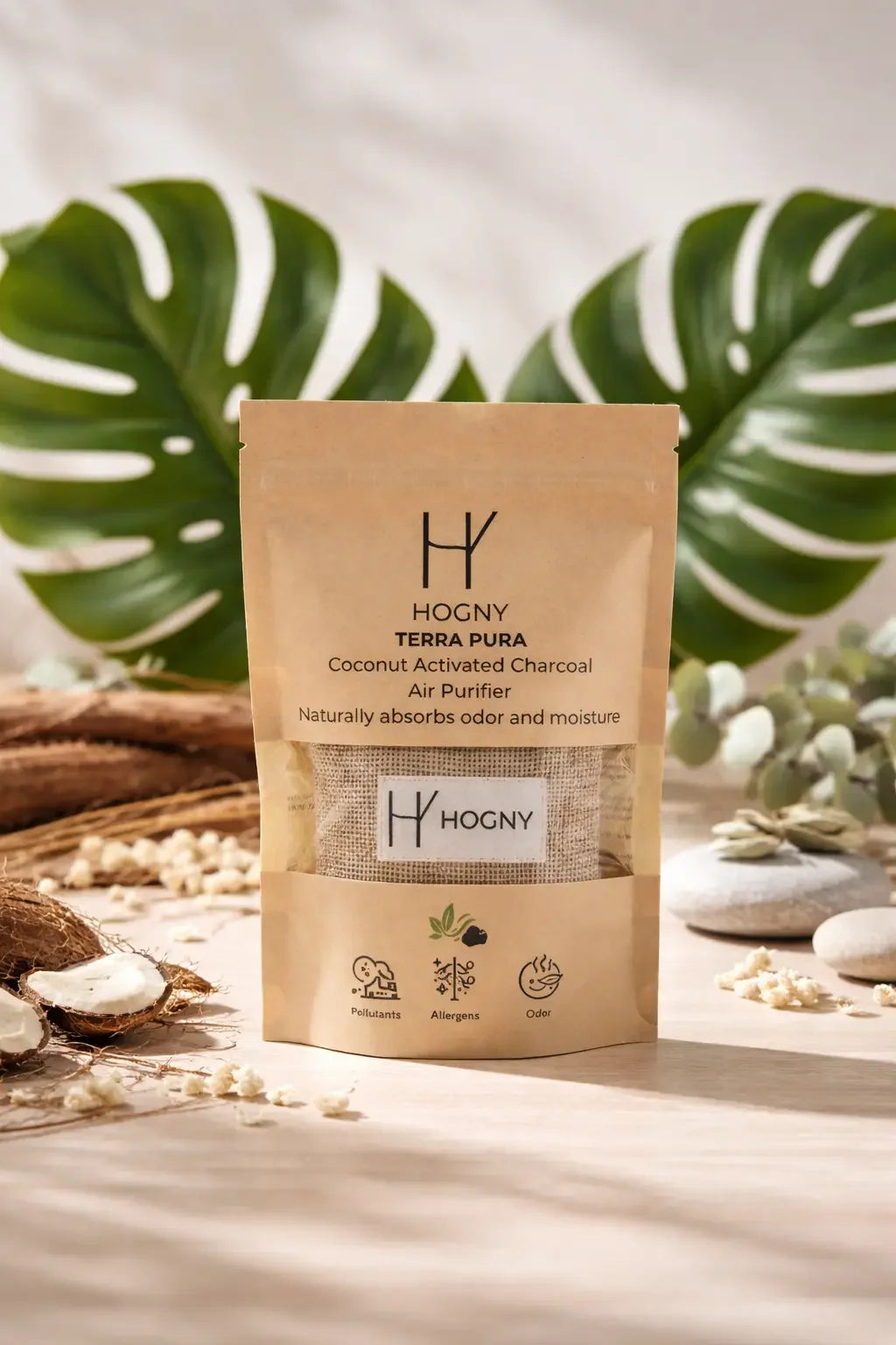 coconut charcoal air purifier HOGNY TERRA PURA 100g