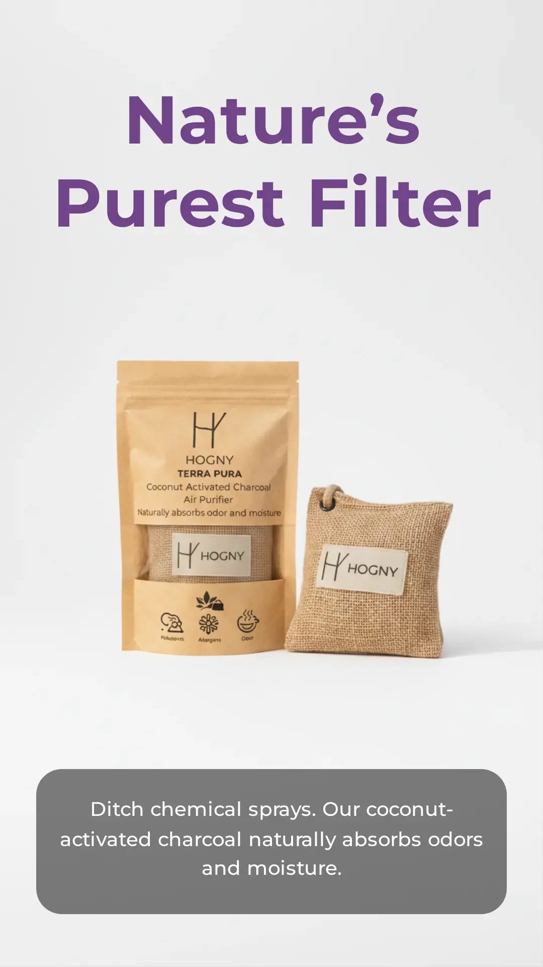 HOGNY TERRA PURA natural coconut charcoal air purifier packaging