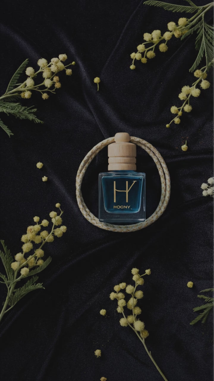 Breeze based car perfume video ceilo blue hogny